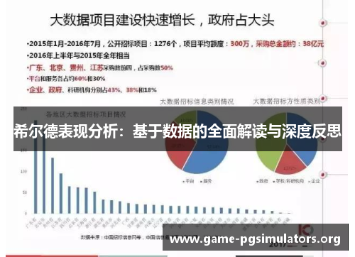 希尔德表现分析：基于数据的全面解读与深度反思