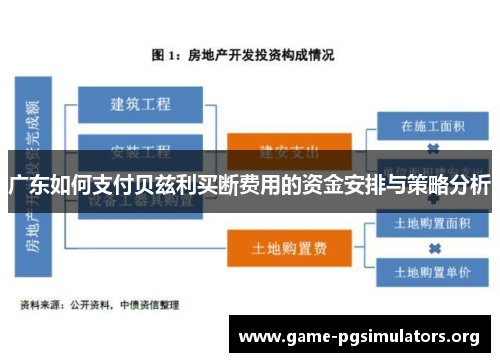 广东如何支付贝兹利买断费用的资金安排与策略分析