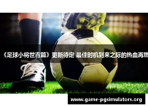 《足球小将世青篇》更新待定 最佳时机到来之际的热血再燃