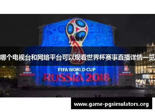 哪个电视台和网络平台可以观看世界杯赛事直播详情一览