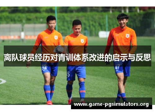 离队球员经历对青训体系改进的启示与反思