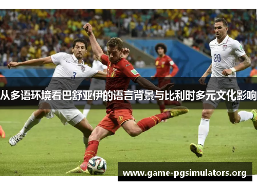 从多语环境看巴舒亚伊的语言背景与比利时多元文化影响 从多语环境看巴舒亚伊的语言背景与比利时多元文化影响