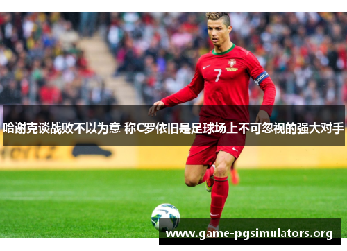 哈谢克谈战败不以为意 称C罗依旧是足球场上不可忽视的强大对手 哈谢克谈战败不以为意 称C罗依旧是足球场上不可忽视的强大对手