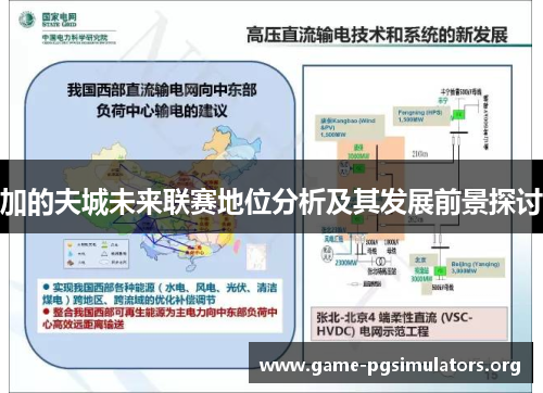 加的夫城未来联赛地位分析及其发展前景探讨