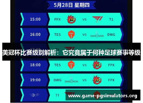 美冠杯比赛级别解析：它究竟属于何种足球赛事等级