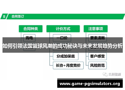 如何引领法国篮球风潮的成功秘诀与未来发展趋势分析